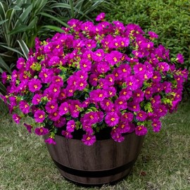 Nigirior Artificial Faux Flowers for Outdoor 16 Bundles Boxwood Fake Morning Glory for Planter,UV Resistant Fake Flowers for Home Porch Patio Outside（Magenta）