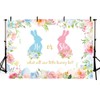 AIBIIN 7x5ft Bunny Gender Reveal Backdrop What Will Our Little