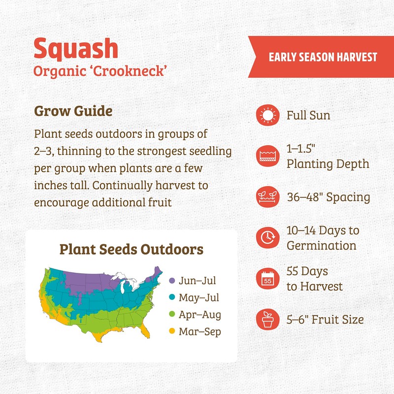 Back to The Roots 100% Organic Seed Packet - Squash