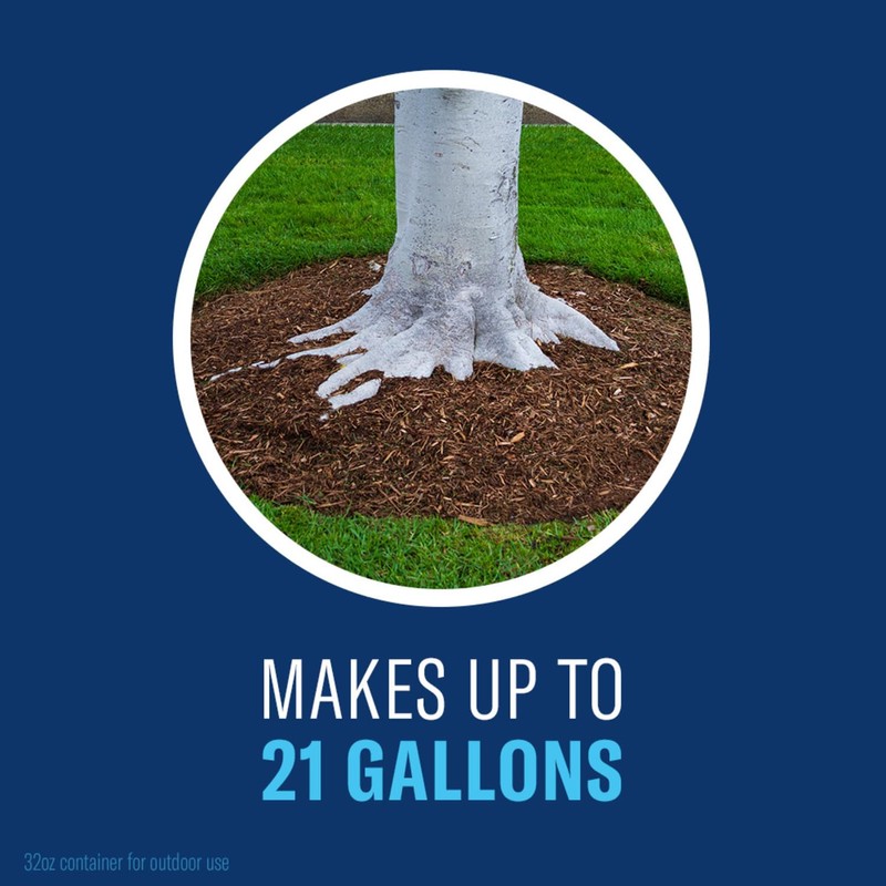 BioAdvanced Tree and Shrub Insect Killer, Concentrate, 32Oz