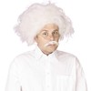 Bristol Novelty BW688 Einstein Wig, Grey, One Size