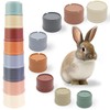 8 Pcs Stacking Cups for Rabbits Safe Plastic Rabbit Toys