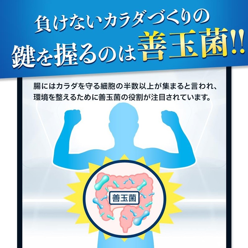オーガランド (ogaland) 矛と盾 乳酸菌 (60粒 / 約1ヶ月分) Wの乳酸菌配合 サプリメント (オリゴ糖/ビタミンA)