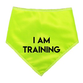 Spoilt Rotten Pets S1 Hi Viz I Am Training Dog Bandana For Dogs & Cats (S1 Tiny Dogs, Chihuahuas & Cats