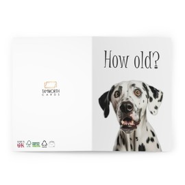 Dalmatian Birthday Greeting Card - 'How Old?' Quirky Query - Blank Inside for Personal Messages - Dog Lover's Celebration Card