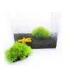 Aquarium Artificial Water Plant & Grass Decor Aquarium Decor B GD12530 100ea