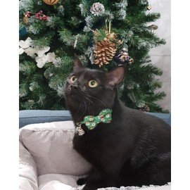 HSIGIO Christmas Cat Collar with Bells, Breakaway Cat Bowtie Collars, Red Green Christmas 2 Pack Safety Kitten Collars for Girl Female Boy Male Cats