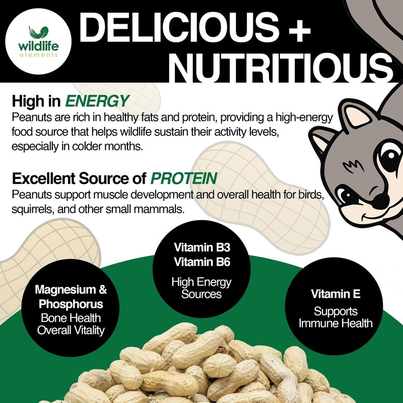 Wildlife Elements Peanut Party Unprocessed, Raw in-Shell Peanuts Wildlife Animal