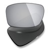 Mryok Polarized Replacement Lenses for Spy Optic Colt - Silver