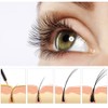 Eyelash Serum - Natural Comestic Eyelash Growth Serum for Longer,