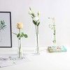 Small Glass Bud Vase Transparent Tapered Small Waist Thick Bottom