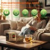 Soilmount - Hawthorn Berry Tea - |山楂|shan zha| - Pure