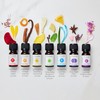 7 Chakra Essential Oil Diffuser Blend Gift Set by Aromafume