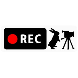 Dash Cam Sticker Bunny & Video Camera Banner Type (For Narrow Rear SUV Sport Wagon) (Removable Sticker) (2" x 5.8") b14r