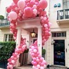 PartyWoo Mauve Balloons 50 pcs 12 Inch Dark Hot Boho