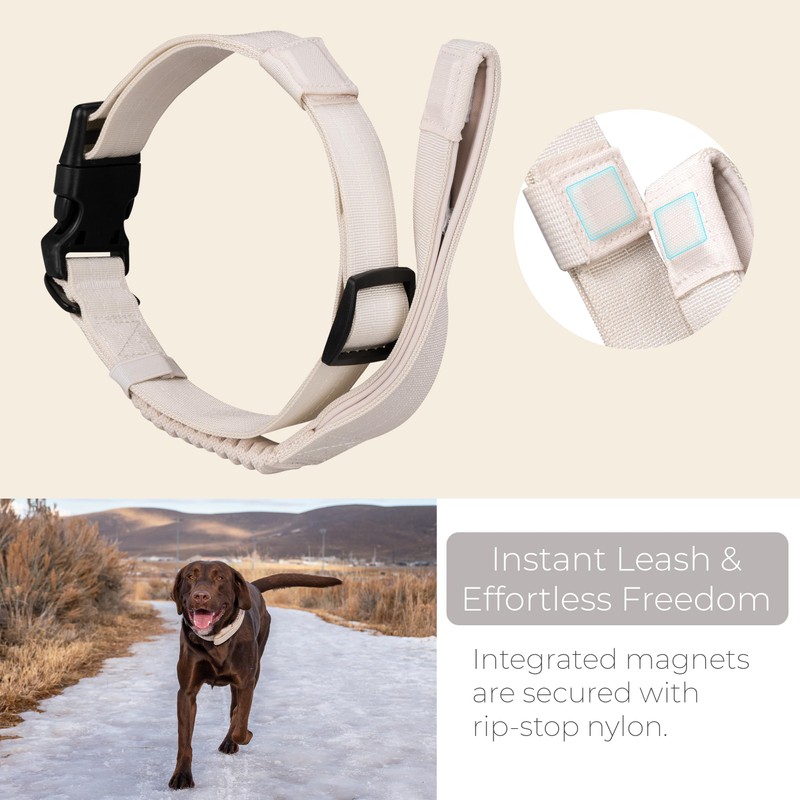 TUG Grab Collar | Integrated Traffic Leash Magnetically Attached for
