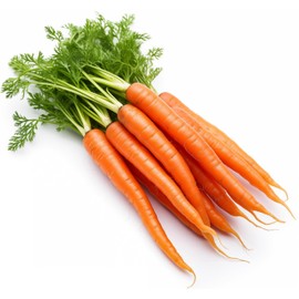 1000 Tendersweet Carrot Seeds for Planting - Heirloom, Non-GMO, USA Grown - by RDR Seeds