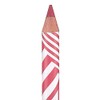 Pastel Show Long Lasting Lip Pencil 204