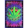 Studio B Canna Vibes NonFlocked Blacklight Poster 24x36