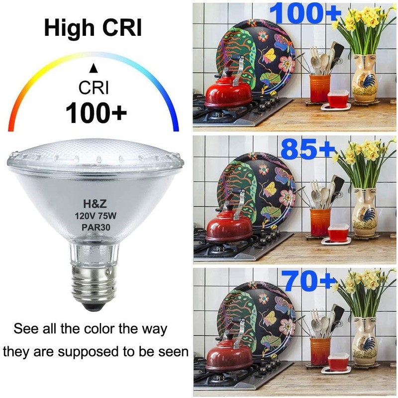 H&Z Par30 Short Neck, 6 Pack High Output Par30s Halogen