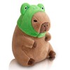 WUFUVAP Cute Capybara Plush with Wearable Frog Hat 12inch Kawaii