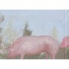Why You Never Feed Pigs Bubble Gum Tree-Free Greetings Funny/Humorous