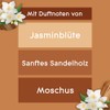 Glade Electric Scented Oil Halter + 3 Nachfüller Sensual Sandalwood