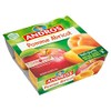 Andros Apple Apricot Fruit Dessert - 4 Pots of 100