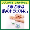 【第3類医薬品】メンソレータム軟膏c 75g