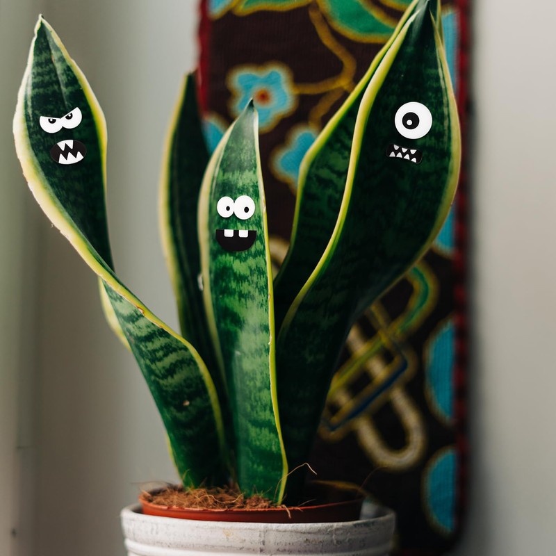 BOXOB Whimsical 12pcs Green PVC Plant Decorative Magnets