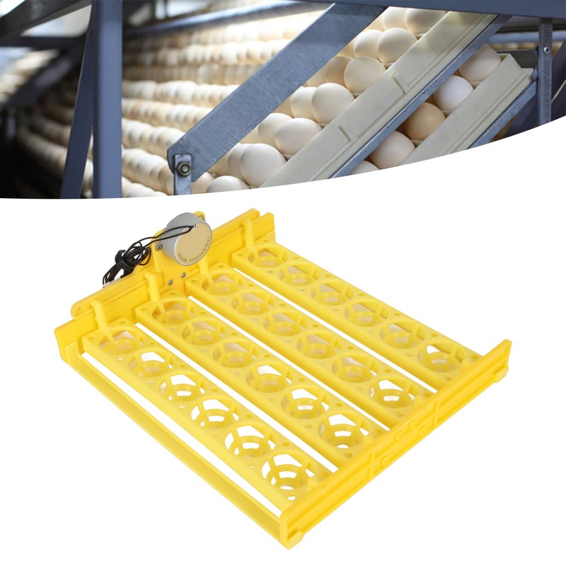 Egg Turning Tray Professional 24 Eggs Capacity Efficient Quiet Egg