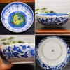Stylish Tableware, Kutaniyaki Pot, Yoshidaya Camellia, Bird, Pottery, Japanese Tableware,