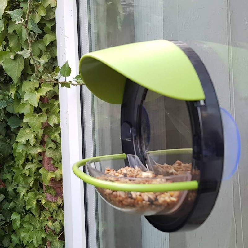 My Living World LW105 Window Bird Feeder, Multicolor