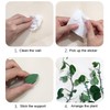 zalati Plant Climbing Supports 50 Pieces Plant Clips Wall Mount