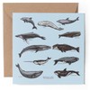 1 x Greeting Card - Collection Whales Dolphins Engraving -