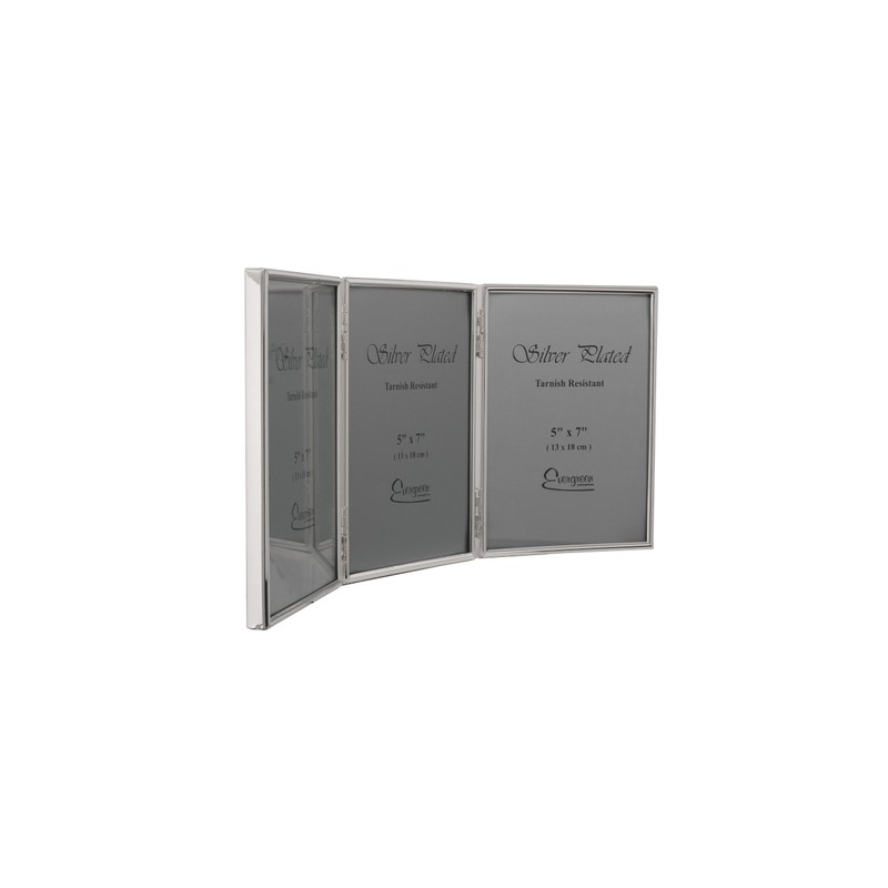 Evergreen Frame, Silver Plated, 5x7 Portrait [12x18cm]