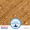 Thompson’s WaterSeal Transparent Waterproofing Wood Stain and Sealer, Sedona Red,