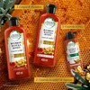 Pack Herbal Essences Bíorenew Shampoo Y Acondicionador Bourbon & Manua