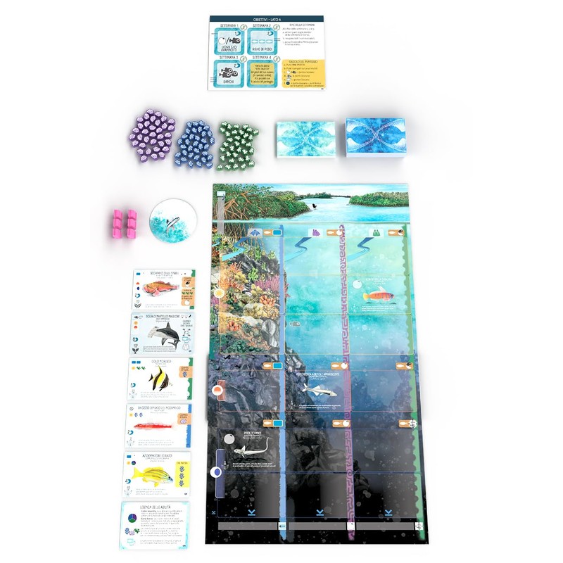 Finspan: Squali e Coralli - Gioco da Tavolo - Gioco