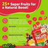 Sugar-Free Fruit and Veggie Gummies - Natural Fruits and Vegetables