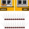Bird Spikes 15 Feet Stainless Steel Pigeon Deterrent Spikes for