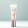 decorate Decorte Flawless Rich Glow Primer 30g / 데코르테 플로리스 리치 글로우 프라이머 30g