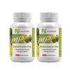 Nzpurehealth 멀티비타민 플러스1500mg 60캡슐 2개 Nzpurehealth Multivitamin Plus 1500mg 60 Capsules 2 Pack