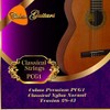 Classical Guitar Strings by Coban Guitars Premium PCG1 Classical Nylon