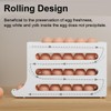 Ruayia Egg Holder 30 Eggs 4 Tier Eggs Storage Fridge