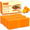 Joanssore 6 PCS Persimmon Soap for Old People Smell, Long