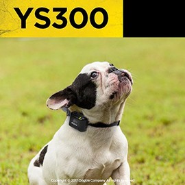 Dogtra No Bark Collar Small to Medium - YS300                                                                                                         