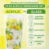 Reston Lloyd Calypso Basics Fresh Lemons 19 oz Acrylic Drinkware