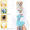 Juego de Juguetes para Perros de 10 Piezas - Juguetes