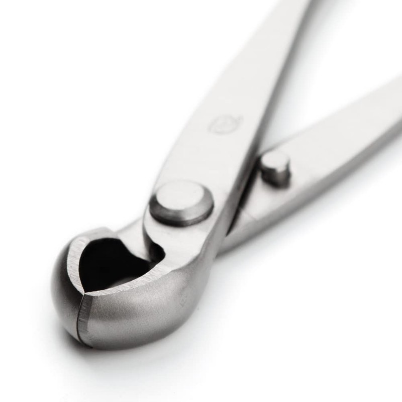 tianbonsai 180 Mm Knob Cutter Concave Cutter Bonsai Tools